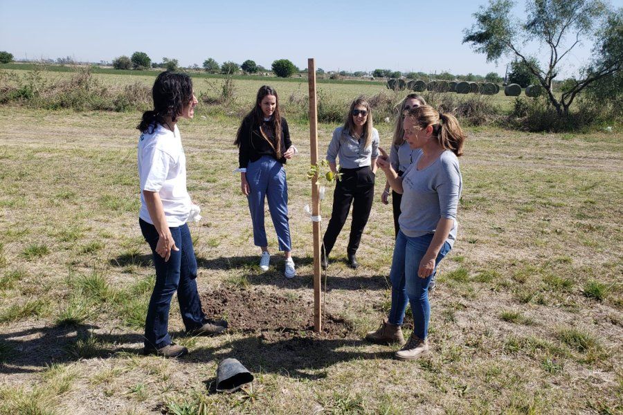 Compromiso empresarial con el arbolado