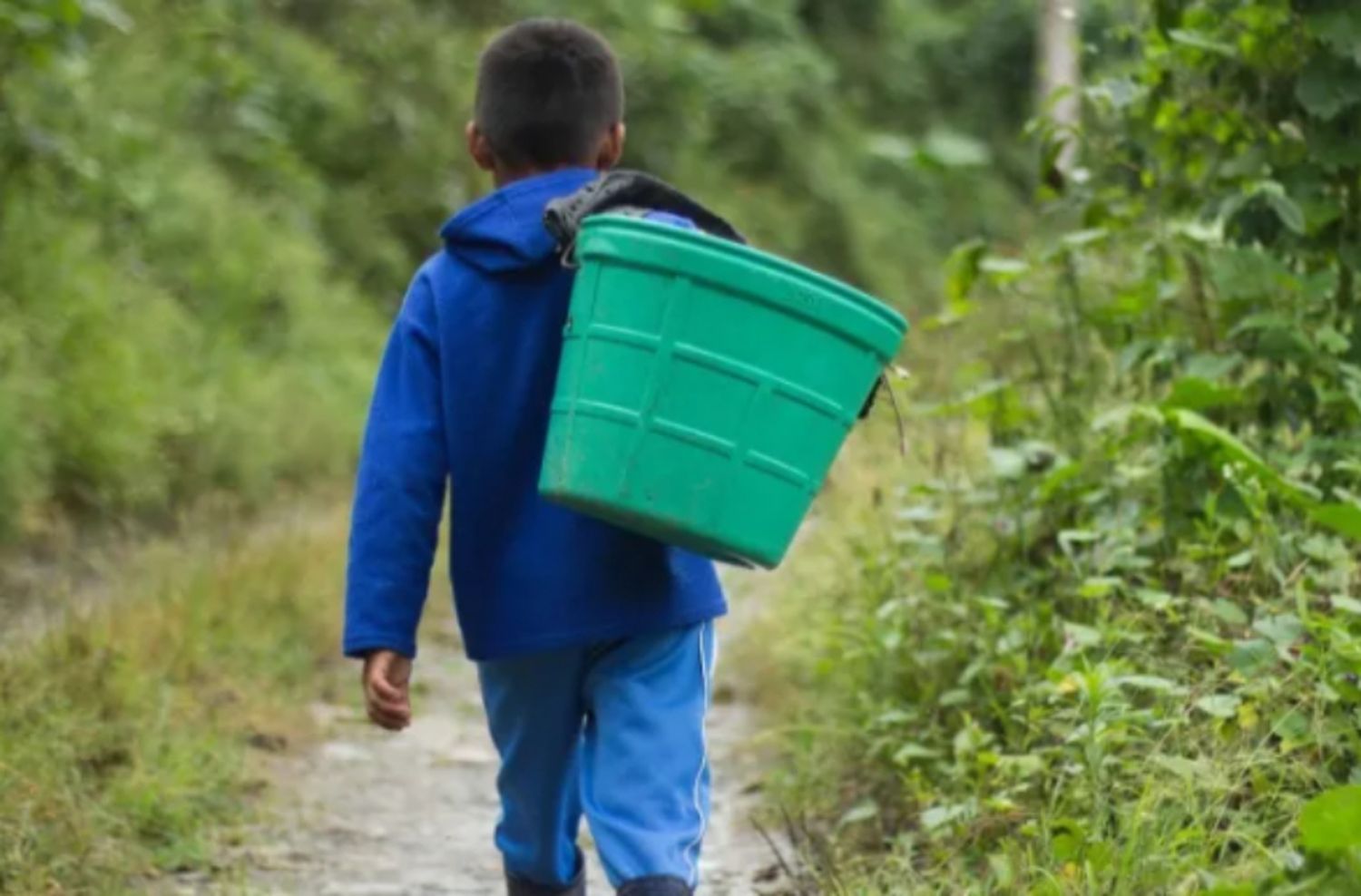 Instituyen el 12 de junio como el Día Provincial contra el Trabajo Infantil en territorio bonaerense