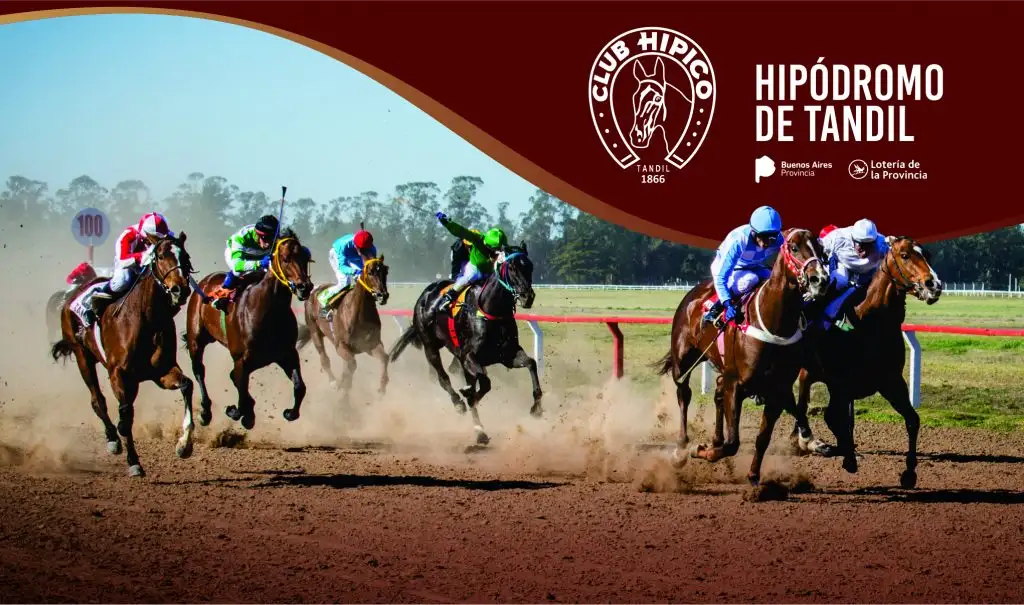 La quinta reunión hípica se realizará el próximo domingo 