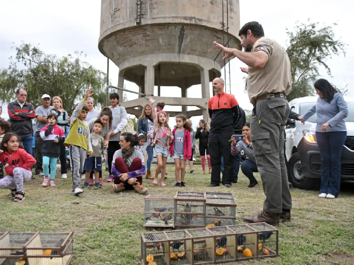 Tránsito: liberan 24 aves recuperadas de la tenencia y transporte ilegal