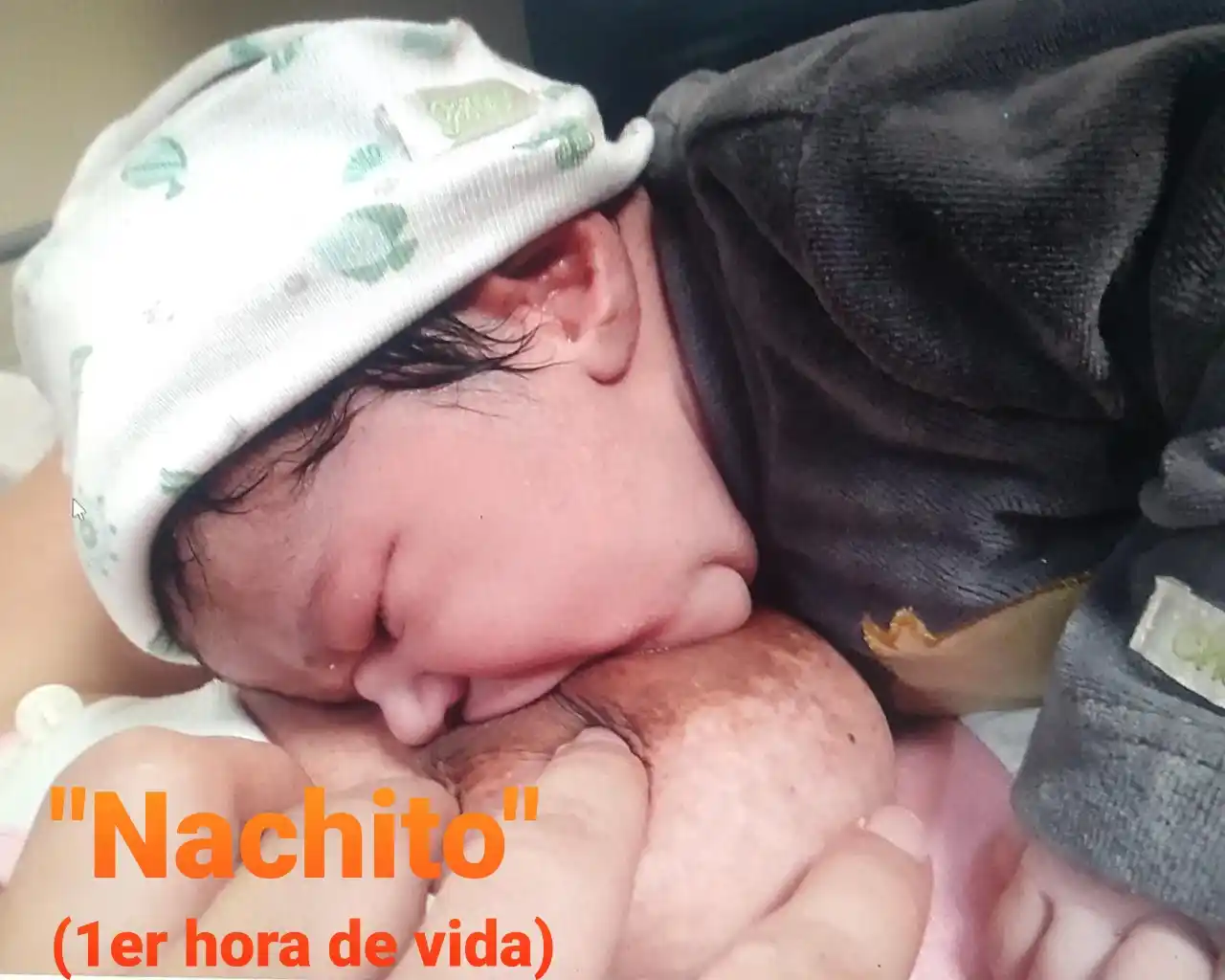 "Proteger la Lactancia Materna: Una responsabilidad compartida"