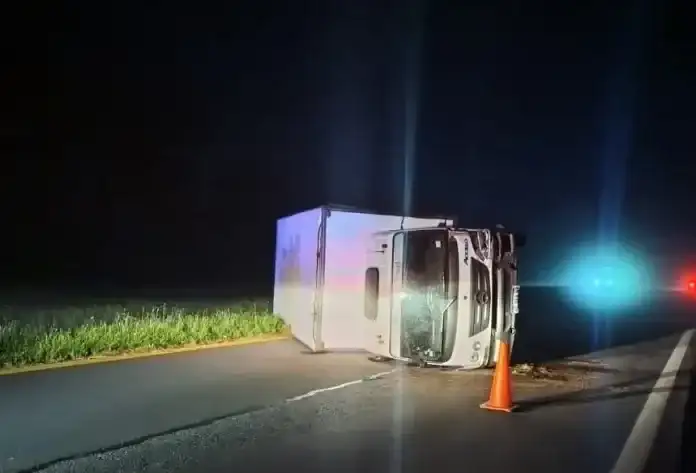 Un camión que transportaba flores volcó en la Ruta Nacional 12