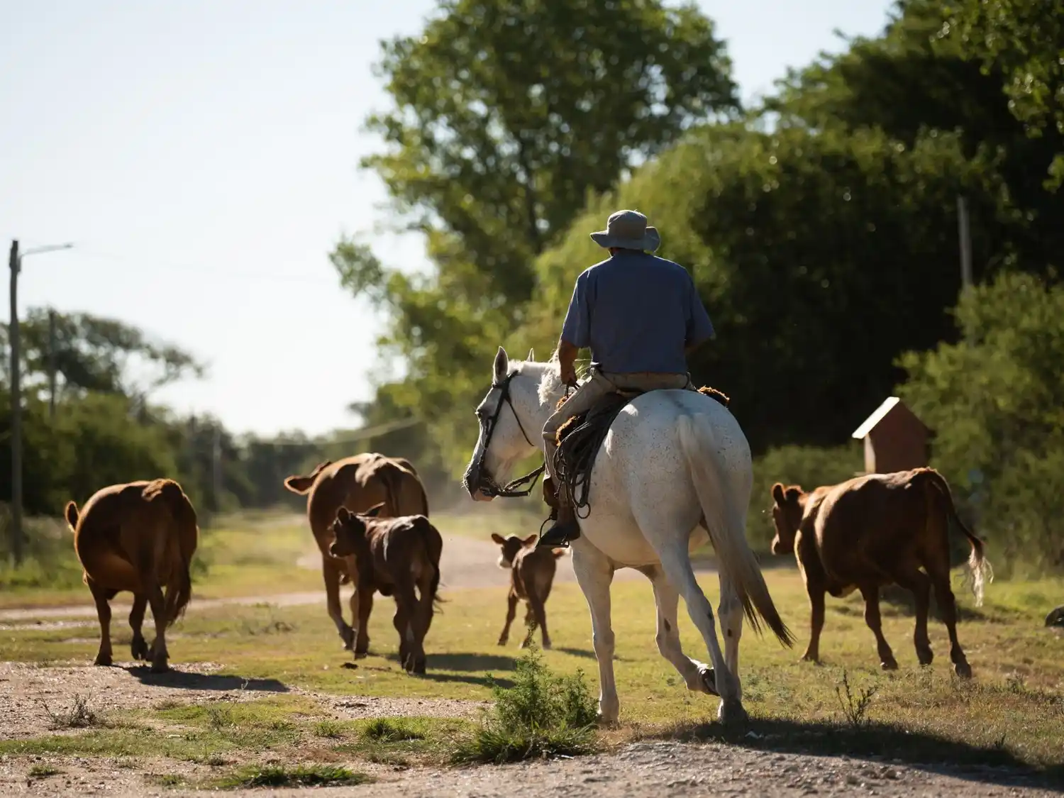 Villa Clara y más de 20 pueblos se integran a plataforma de ONU Turismo