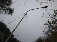 Por el robo de cables, la Usina perdió en este año ya más de $180 millones