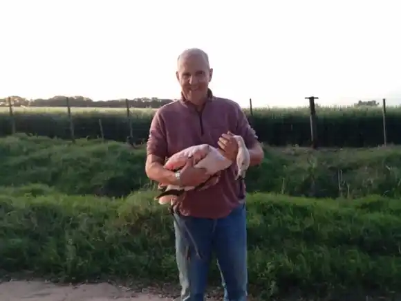 "Cada vida importa": un intendente bonaerense rescata un flamenco herido y lo acompaña hasta su recuperación