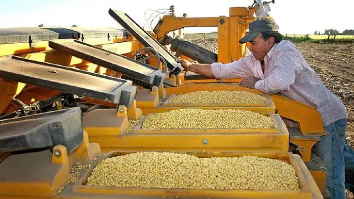 El precio de la soja retrocedió US$32 en Chicago y bordea los US$500 la tonelada