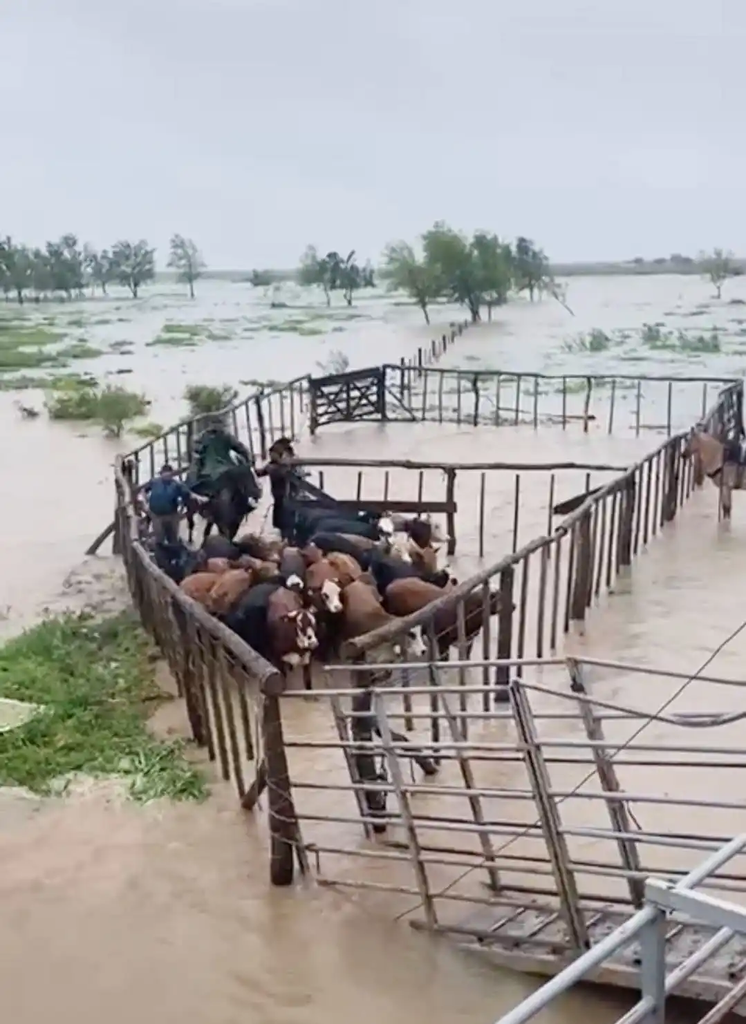 Farer solicita a los productores que tengan previsto mecanismos de evacuación de la hacienda
