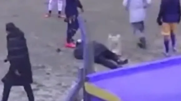 Impactante video: un grupo de hinchas dejó nocaut a Luis Ventura luego de invadir el terreno de juego