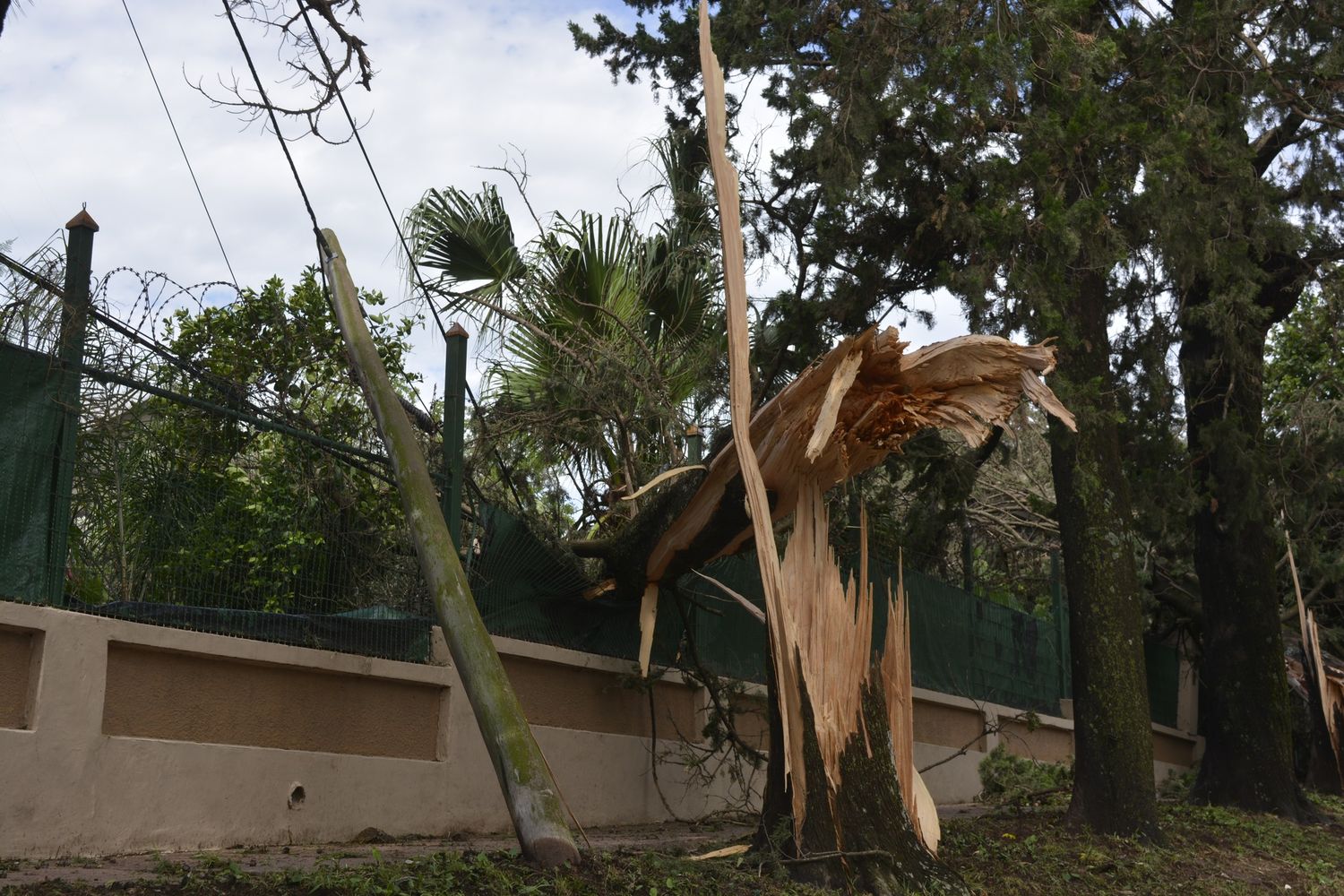 Diamante tormenta enero 2024