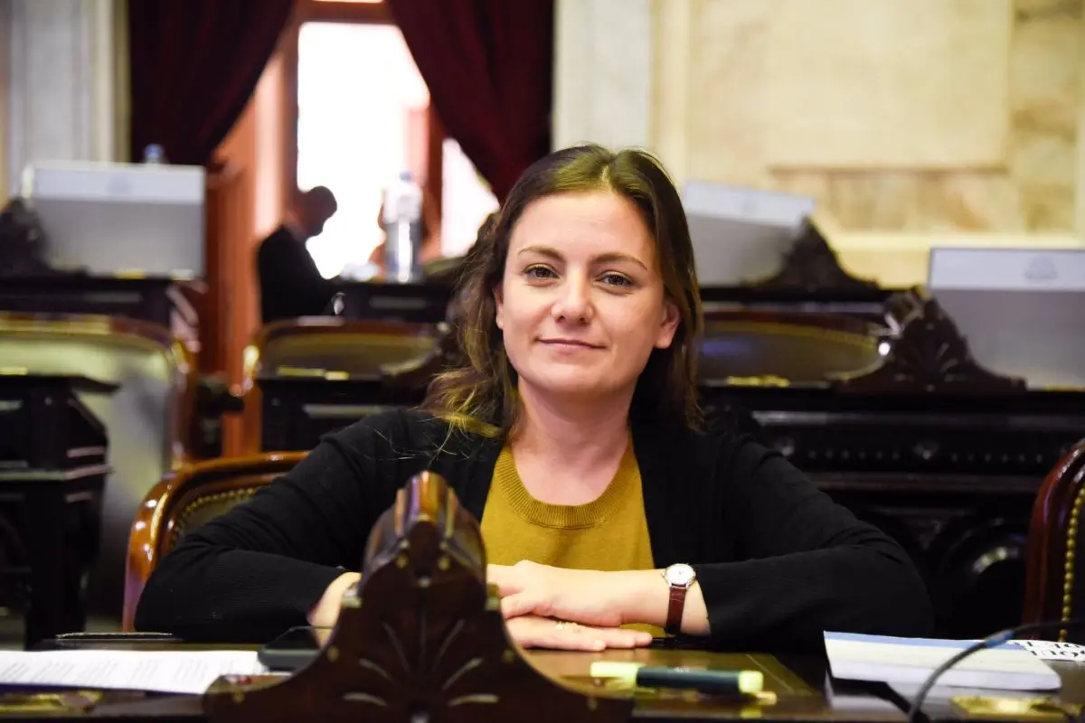 Vanesa Siley tiene 39 años y es diputada desde 2017.