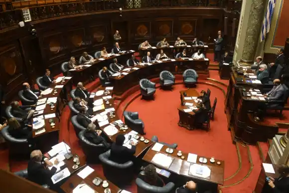 Uruguay: polémica sanción al cupo de discapacidad para empleos privados