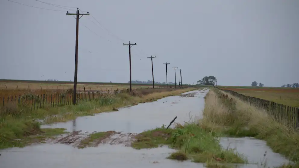 Las inundaciones en los campos bonaerenses afectarán a la producción para el año que viene