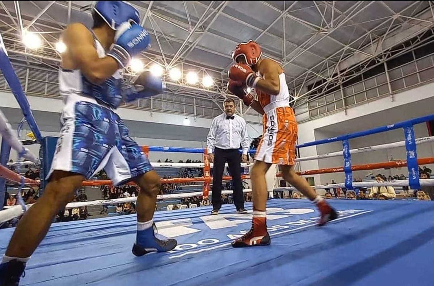 Finalizó el Regional Amateur 
dejando dos noches inolvidables