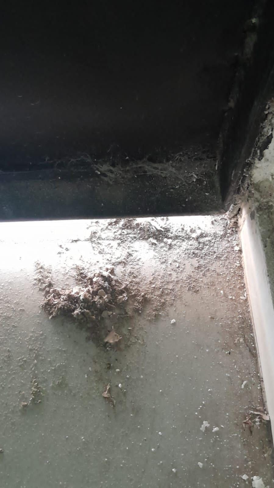 Así quedó un sector del vestuario de Aldosivi tras la bomba.