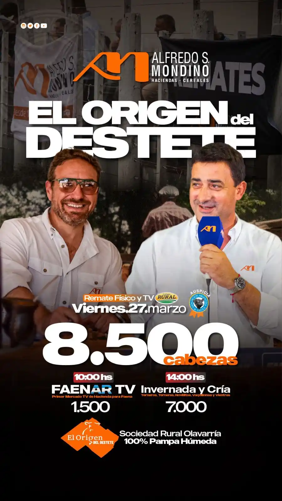 banner origen mondino