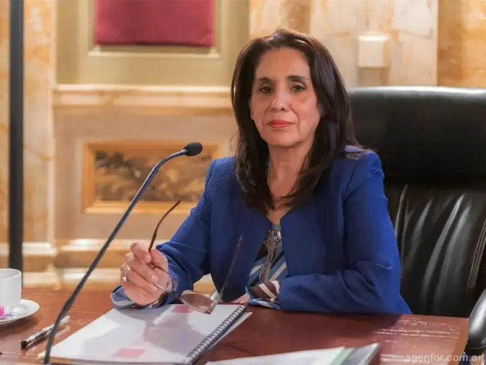 La senadora formoseña María Teresa González participa de una sesión legislativa donde se debate el impacto de los recortes a las provincias en el Presupuesto 2027, analizando las posibles consecuencias económicas para la gestión de Formosa.