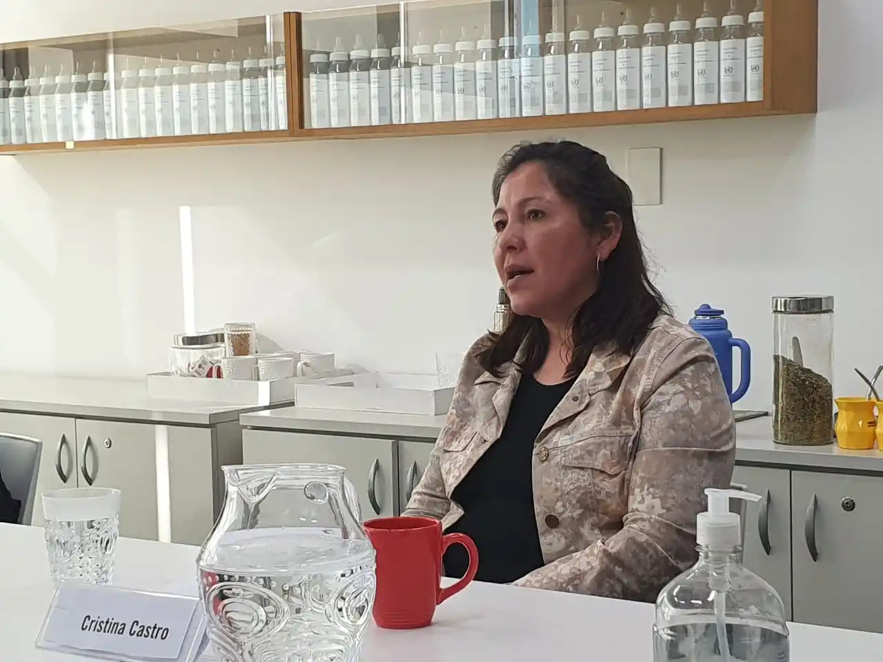 Caso Facundo Astudillo: La madre dijo estar "conforme" tras reunirse con el presidente y apuntó a Berni