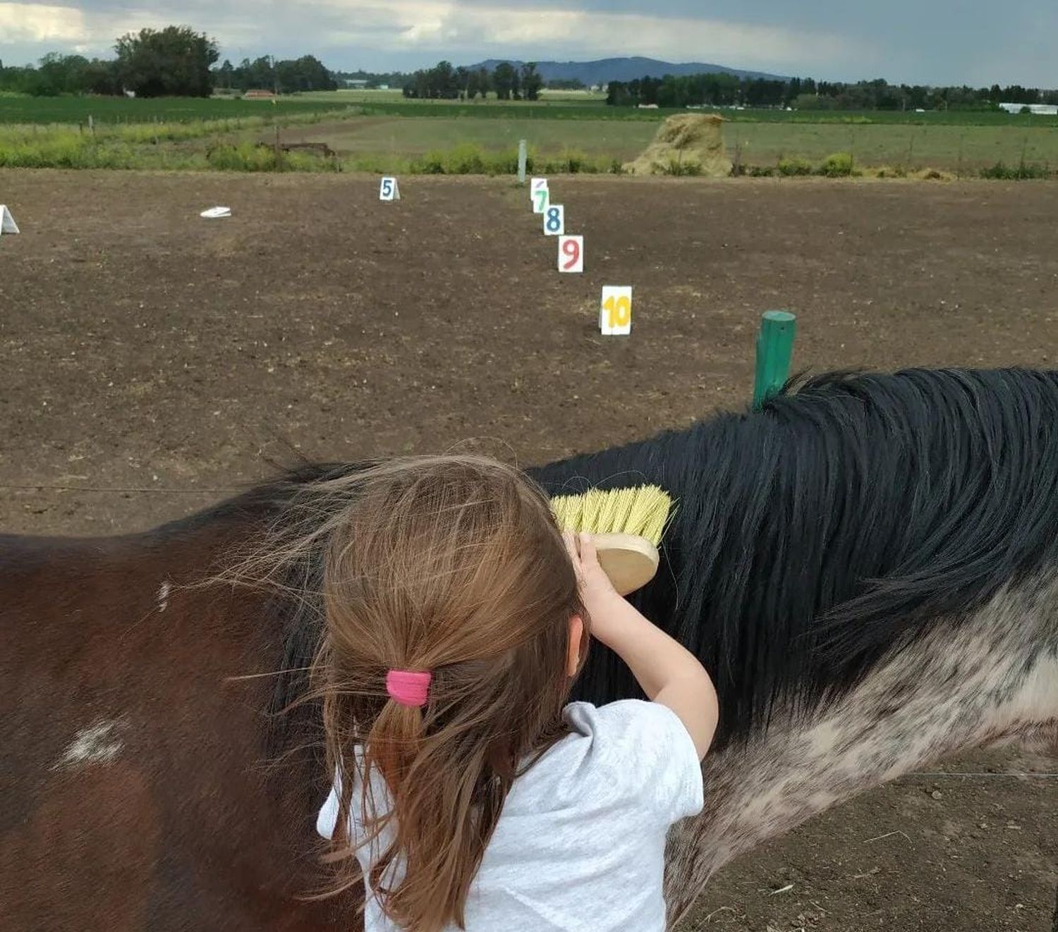 Equinoterapia en Fundación Ecuestre Aires de Tandil