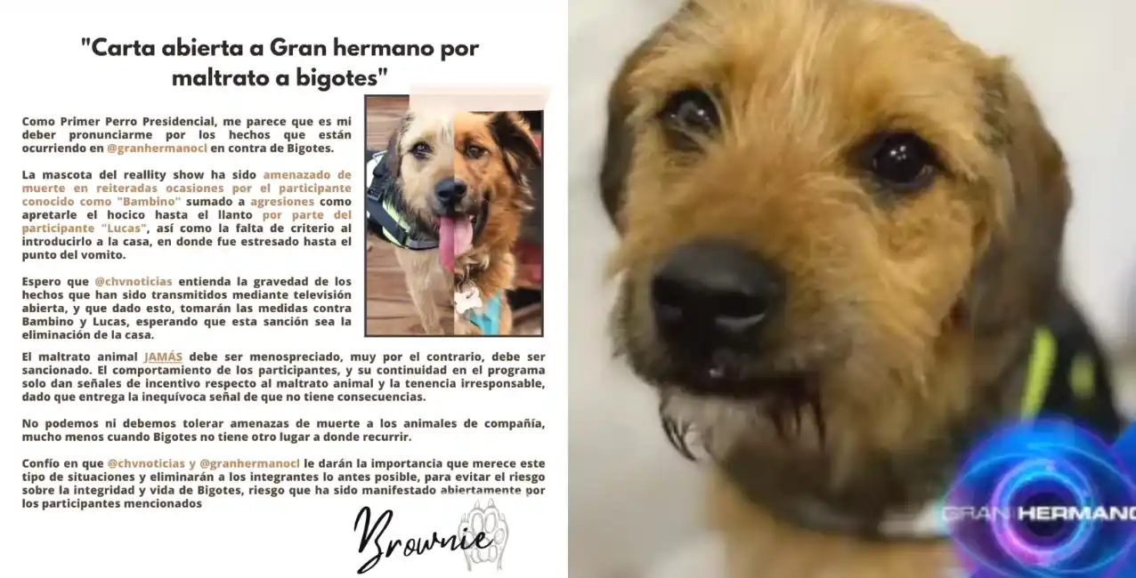 Pide la expulsión de dos participantes del reality.