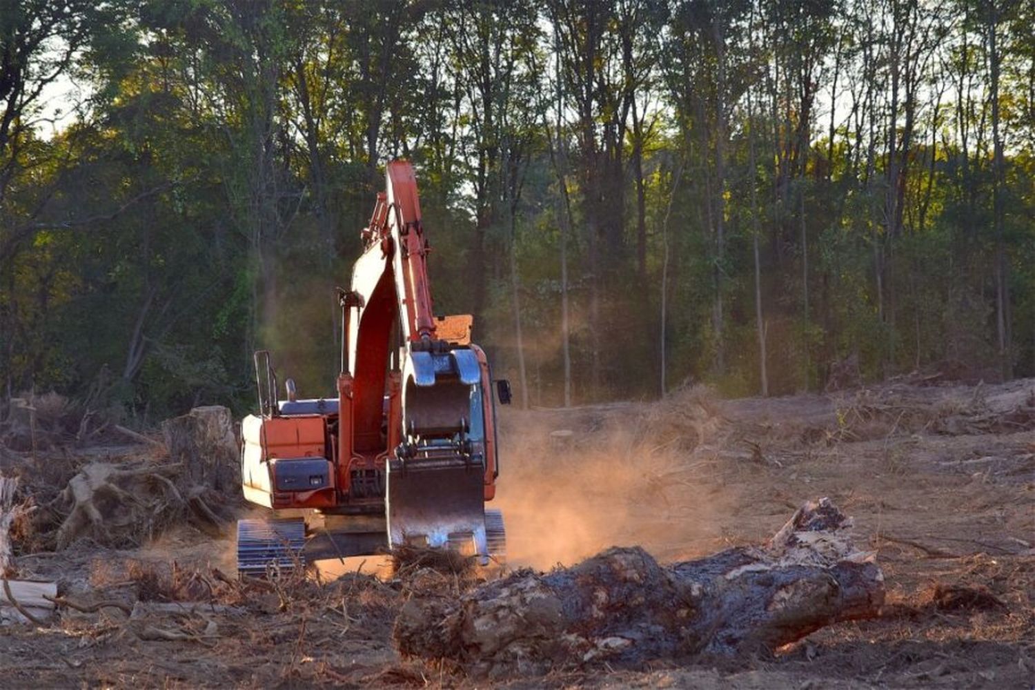 Santa Fe es la primera provincia en verificar producción agropecuaria libre de deforestación