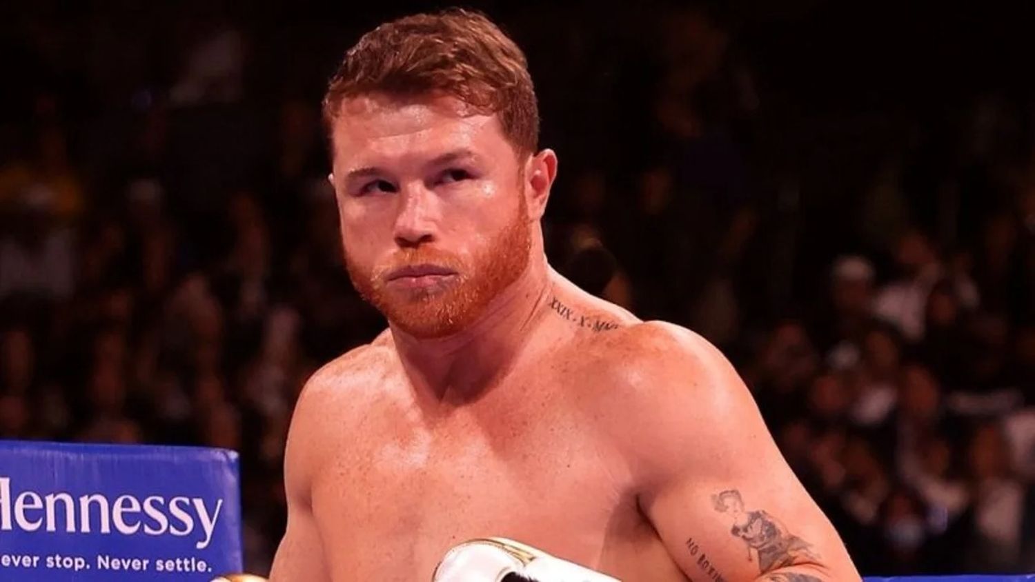 Con una bolsa millonaria y el legado en juego, Canelo y Crawford protagonizarán una de las peleas más esperadas del boxeo moderno/ El Destape