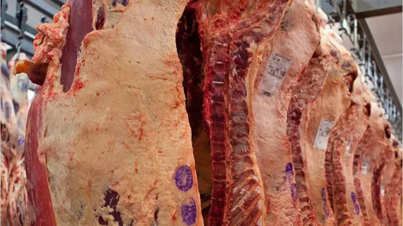 La exportación de carne vacuna aumentó 41,6% en los primeros meses de 2019