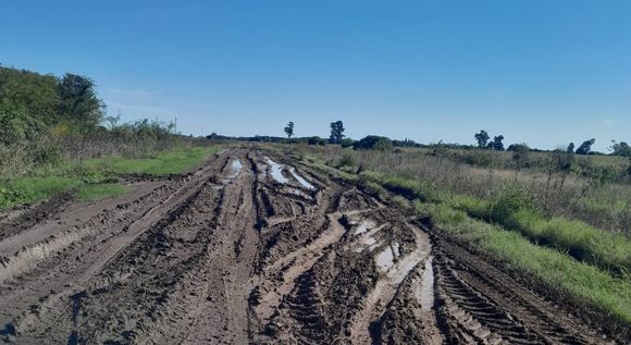 Red Vial: “Están todos los caminos destruidos en plena cosecha de la soja”, dijo un productor