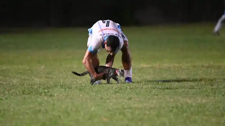 Aparición inesperada: un gatito ingresó a la cancha en plena final de la Copa Gualeguaychú