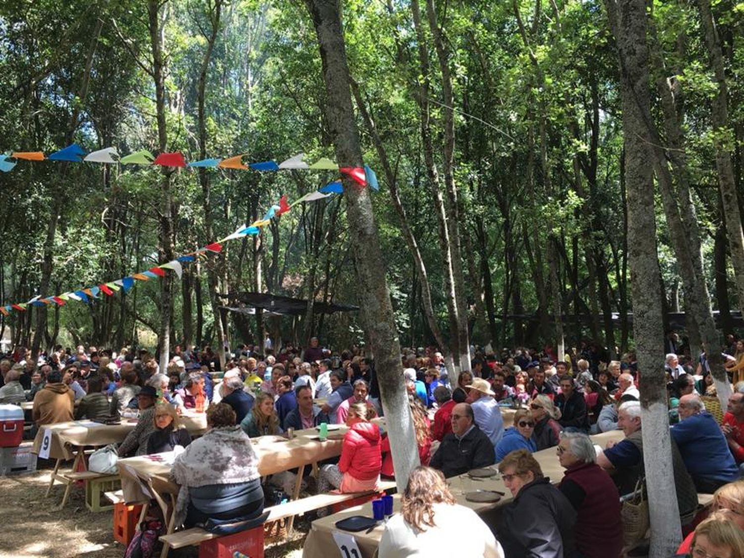 Más de mil personas fueron testigos de la edición 63 del tradicional picnic en De la Canal