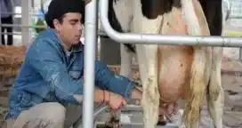 Capacitación en gestión para productores de Entre Ríos
