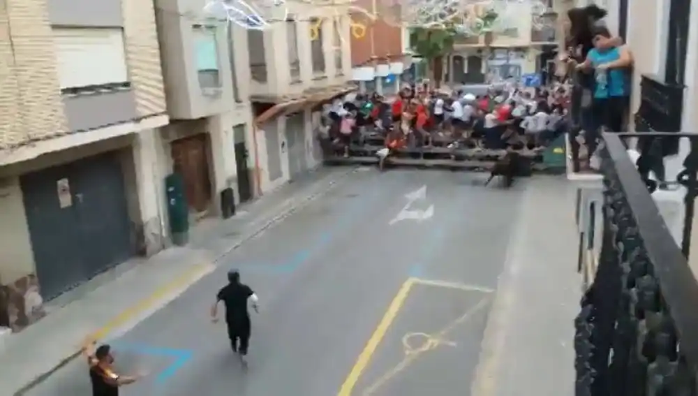 Un anciano murió luego de que un toro lo embistiera y los revoleara por el aire