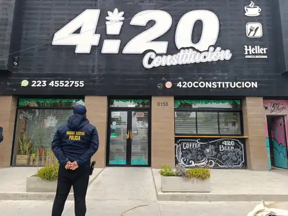 Grow Shop VIP: secuestraron 300 plantas de marihuana, armas y dólares