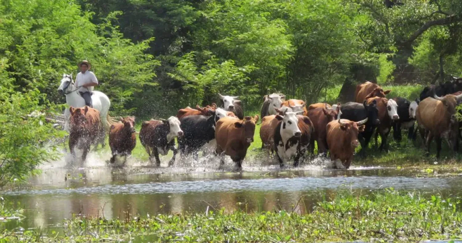 "Sudamérica, reservorio mundial de carnes", el lema del próximo encuentro.