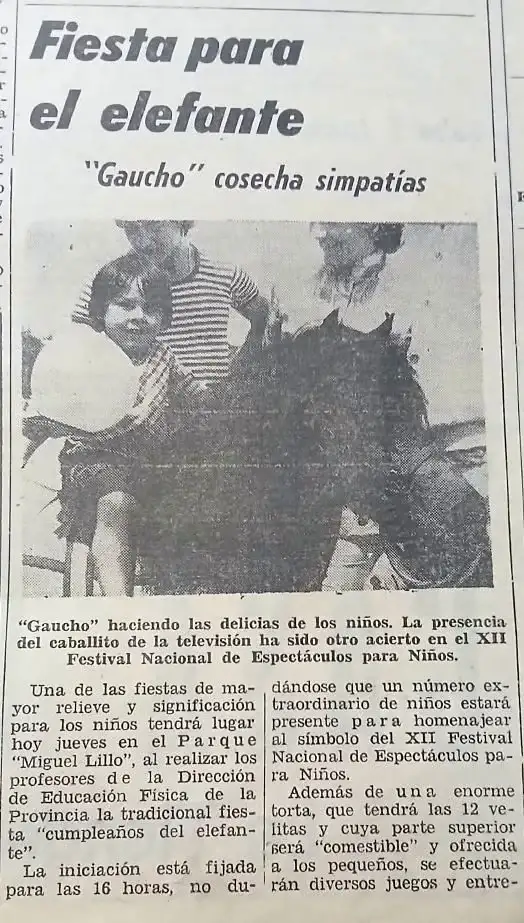 caballito Gaucho II