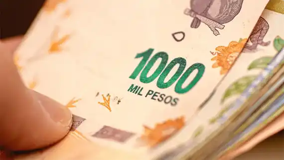 ANSES otorgará un bono navideño: requisitos para acceder