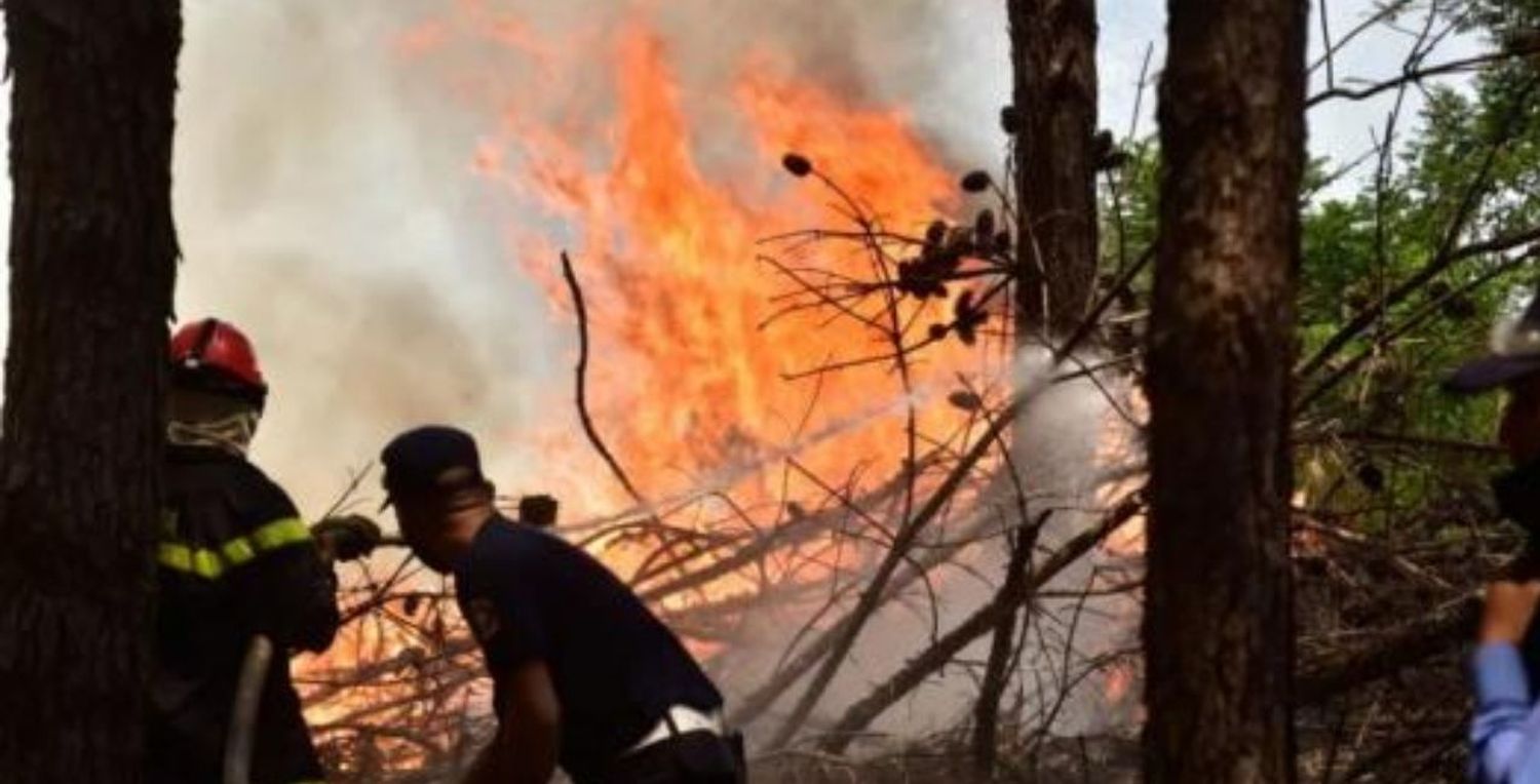 “Corrientes nos necesita”: la UNL invita a sumar “acciones solidarias” para ayudar