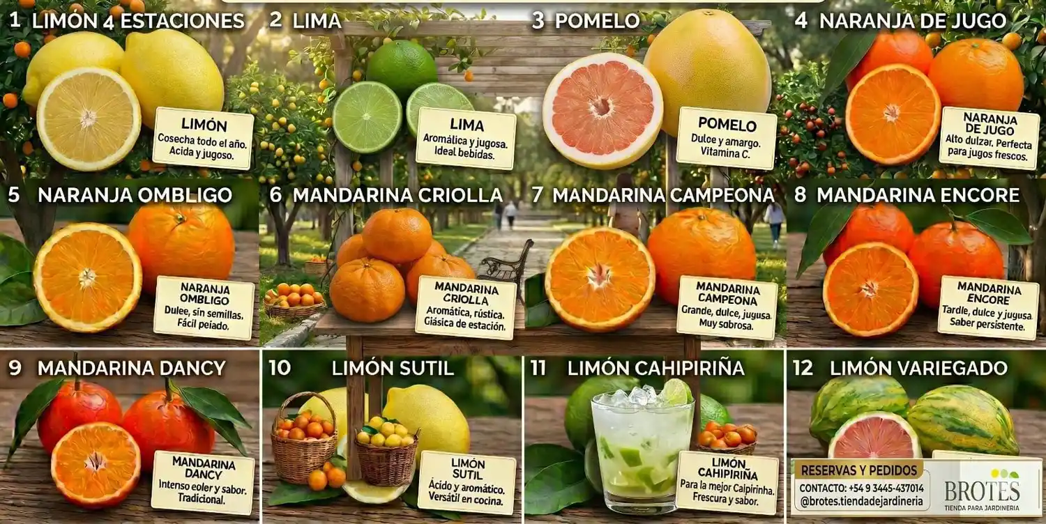 Aldea Asunción: vecinos solicitaron más de 100 árboles frutales a bajo costo