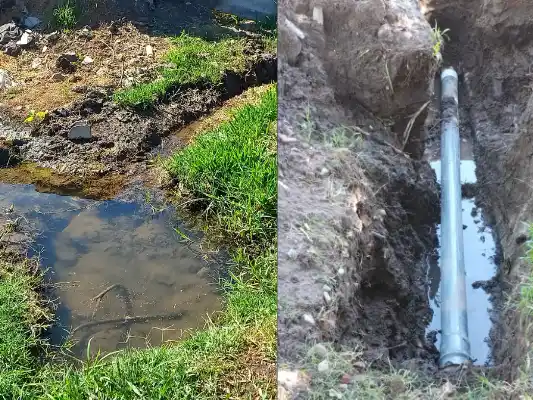 Los reclamos eran diarios por parte de los vecinos.