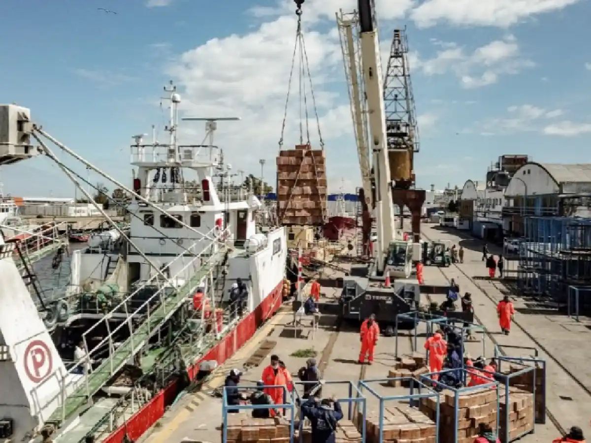 Fuerte reducción a las retenciones de las exportaciones de pescado