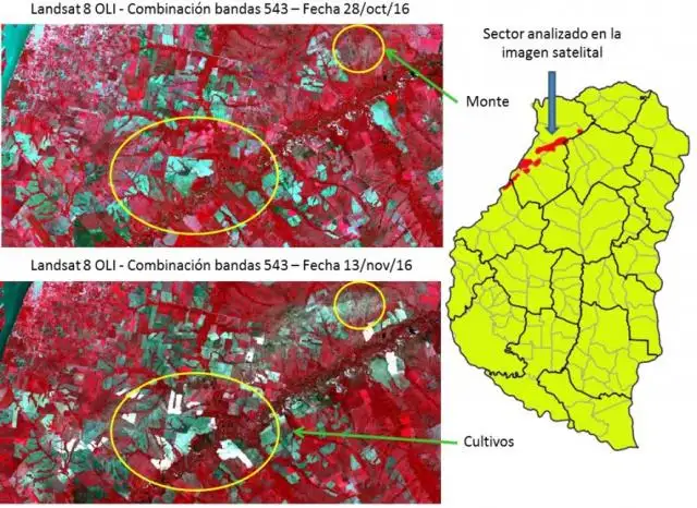 El granizo del jueves provocó daños en lotes de soja, maíz y granizo de la provincia