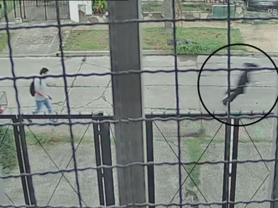 Una cámara de seguridad de un vecino captó el momento.
