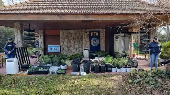 La Policía Federal allanó dos viviendas en Funes y Roldán dedicadas a la producción de marihuana
