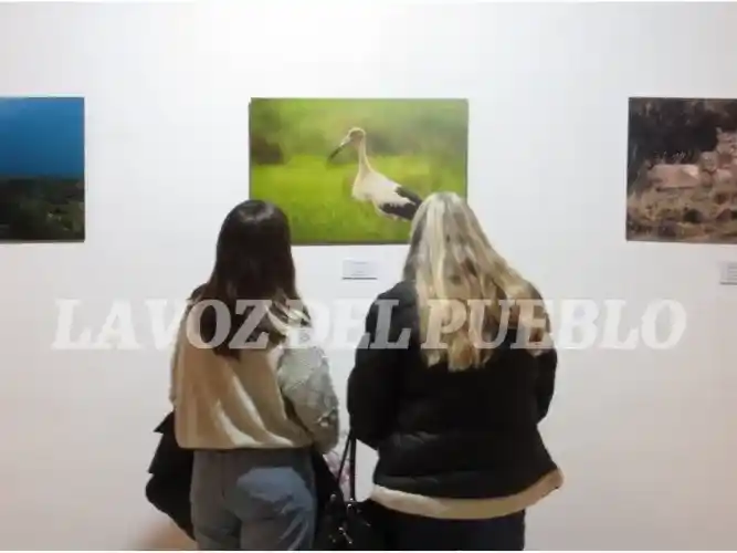 Los trabajos fotográficos de “Latidos de mi tierra” se pueden observar en la sala mayor del Museo Mulazzi