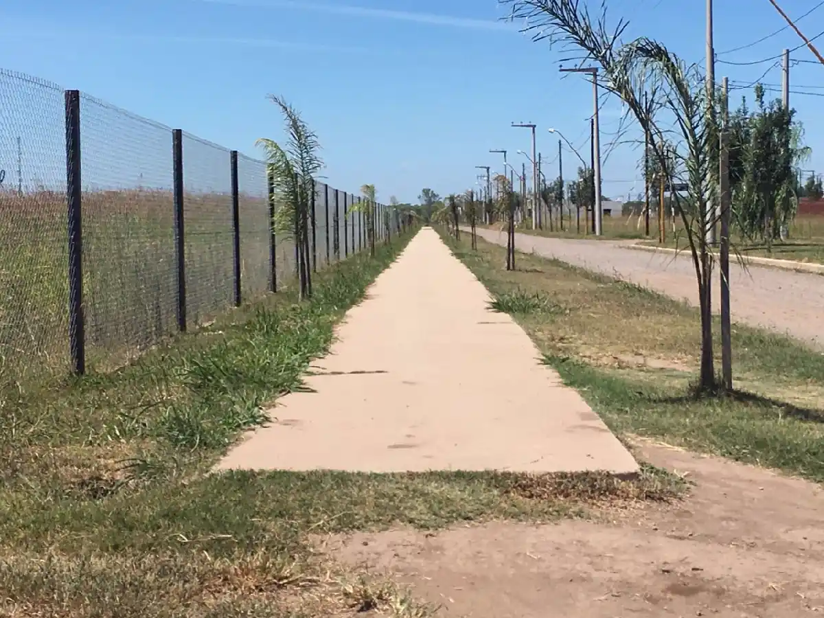 Piden intervención municipal en senda peatonal de Los Palmares