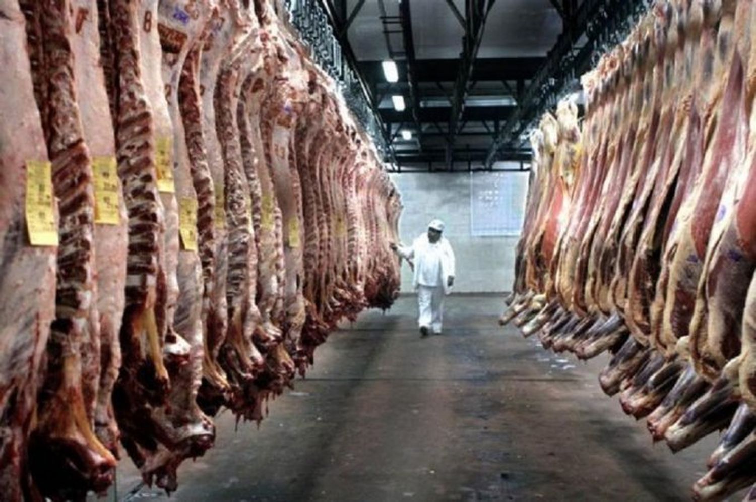 La producción de alimentos cayó un 2,6% en los primeros 9 meses del año