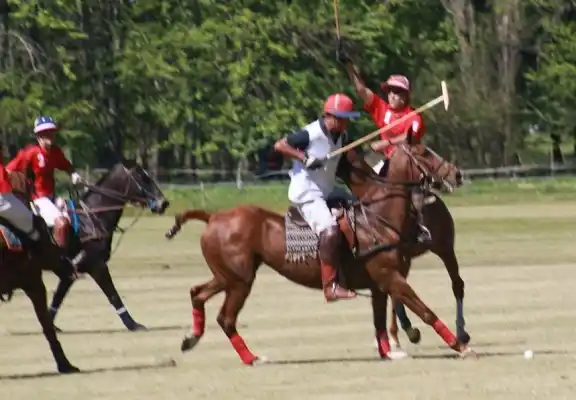 En el Club Hípico, La Justina se quedó con la Copa Primavera