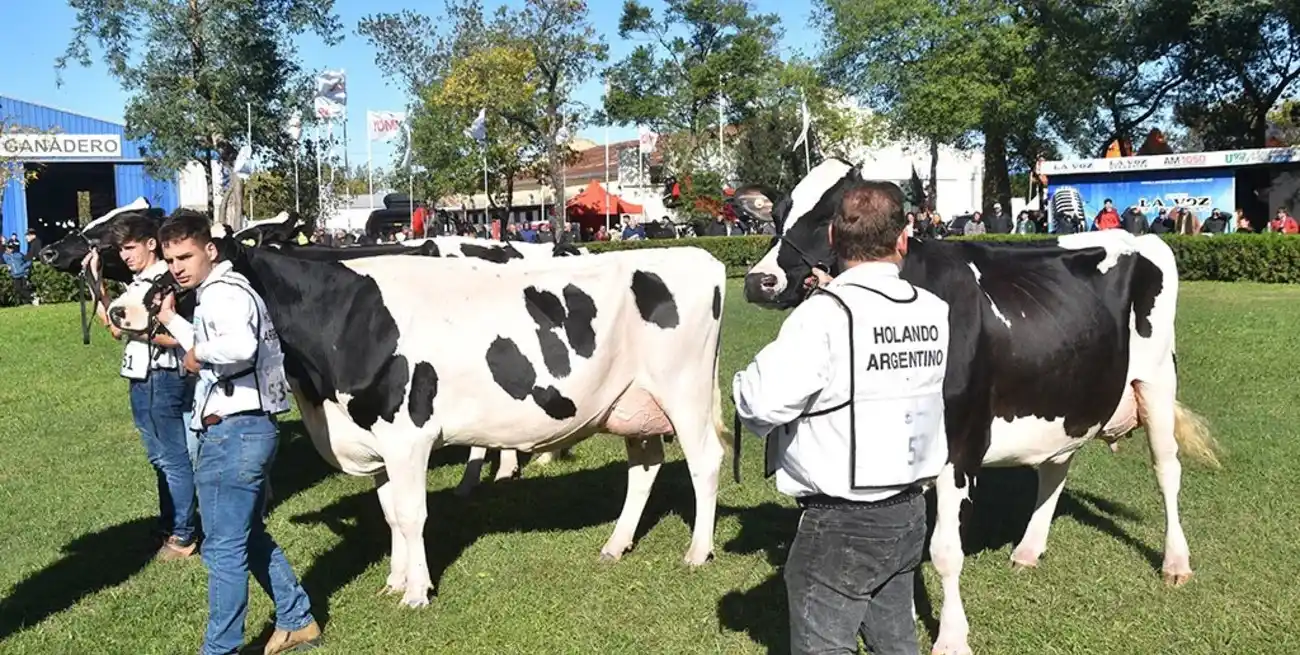 TodoLáctea 2026: Un jurado de élite internacional para la pista de San Francisco.