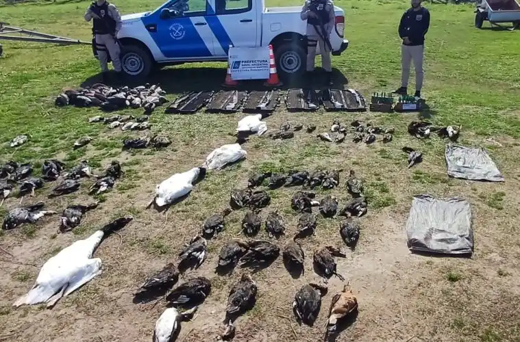 Caza ilegal: norteamericanos armados detectados por Prefectura