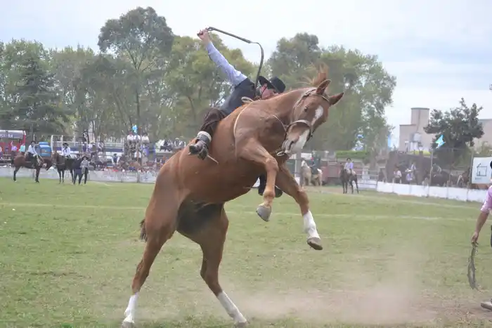 Justicia entrerriana rechazó amparo presentado por Ecoguay contra festival de jineteada