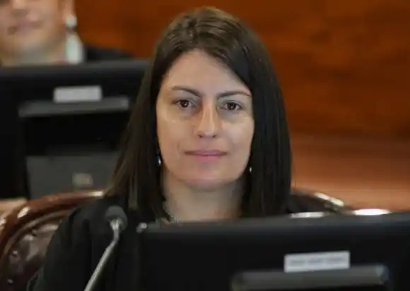 Laner propone excluir delitos de corrupción del juicio abreviado